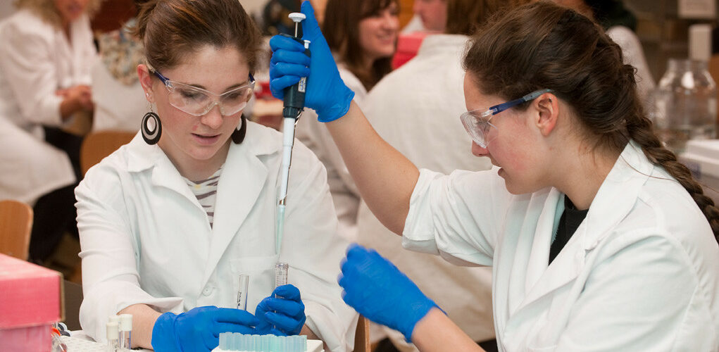 Colorado State University Veterinary and Biomedical Sciences students participate in an Immunology lab